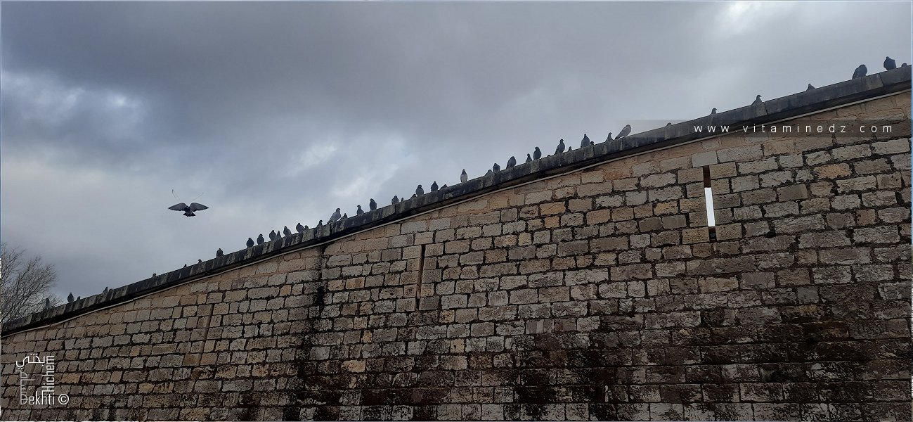 Fortifier, détruire, reconstruire : les murailles de Tlemcen à l’épreuve de la période coloniale (1842-1962)