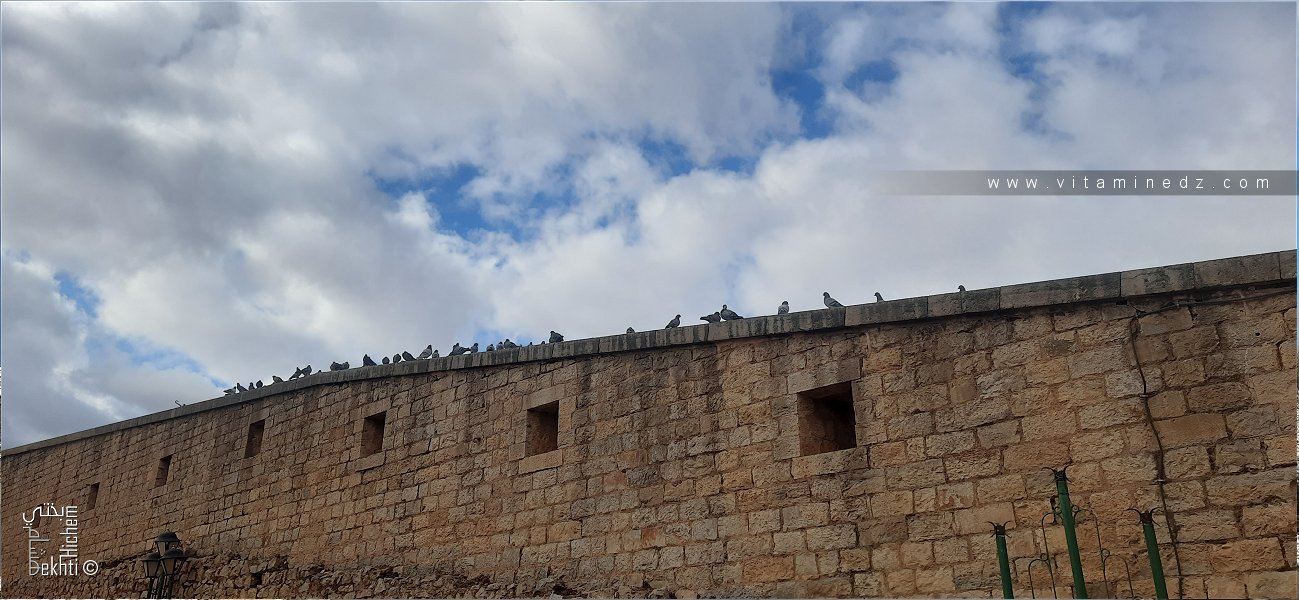 تحصين ثم هدم ثم إعادة تشكيل: أسوار تلمسان خلال الفترة الاستعمارية (1842-1962)