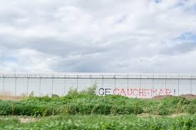 Planète (France/Europe) - Pesticides interdits: prison ferme requise contre «le roi de la salade»