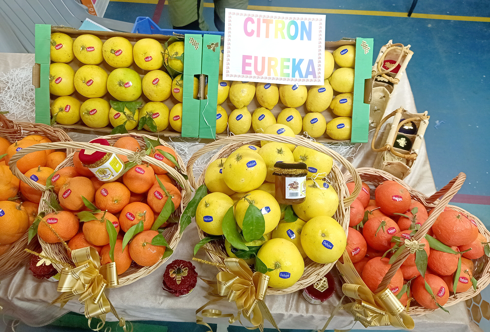 Algérie (Agriculture à Blida) -  Participation de 70 exposants au Salon des agrumes