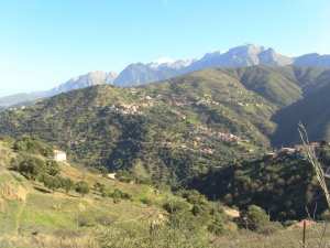Le village d'Ikaânanen (ou Ikaounanen) commune de Bounouh, située dans la daïra de Boghni, au sud de la wilaya de Tizi Ouzou.