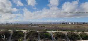 Rejets d'égouts : observation concernant les abords immédiats du village d'El Kerma (ex-Valmy)