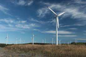 Planète (France/Europe) - Aigle tué par des éoliennes: une nouvelle loi blanchit l’entreprise