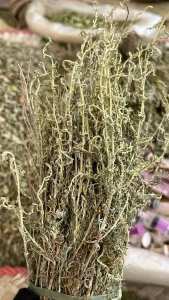 اشربوا مغلي الشيح واطردوا كل قبيح كالســرطان والديــدان والرواسب وتمتعوا بفوائده الكثيرة :