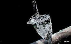 Aimons la goutte d'eau qui fait déborder le vase, car c'est grâce à elle que commence le changement.