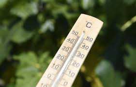 Planète (France/Europe) - Météo:  Près de 30 °C enregistrés dans le Sud-Ouest, un record pour un mois de février