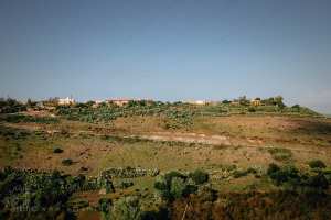 ولهاصة الغرابة… بين الذاكرة والآفاق