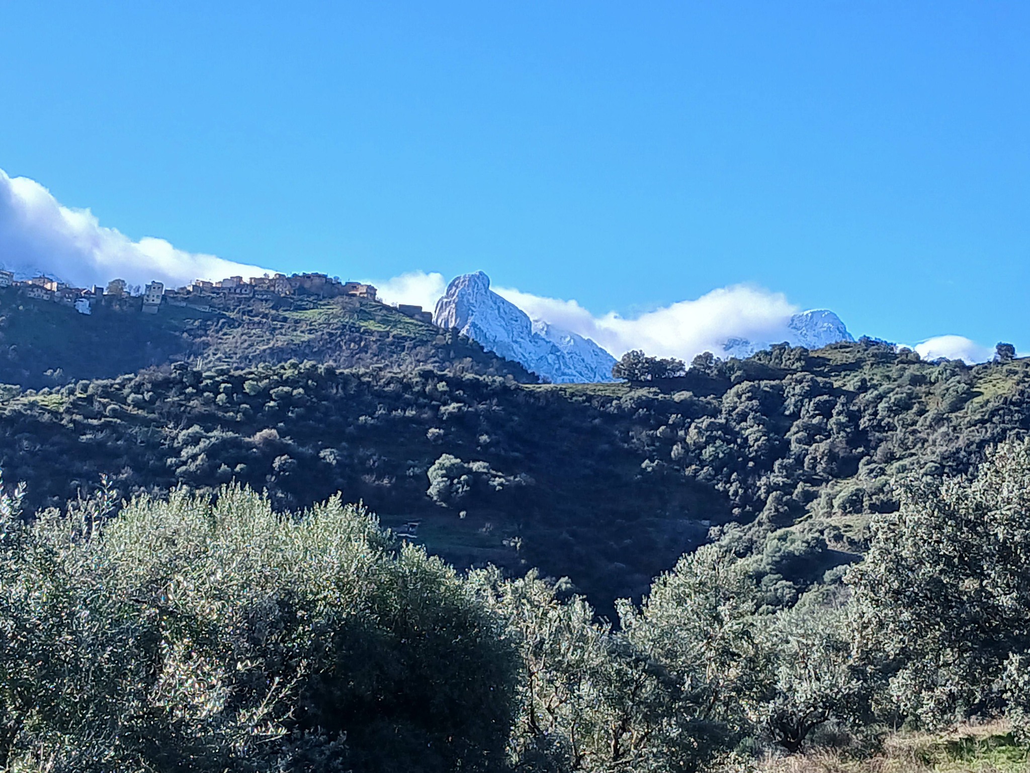 Le village de Timeghras est une perle de la Haute Kabylie, célèbre pour sa situation géographique spectaculaire au pied du massif du Djurdjura.