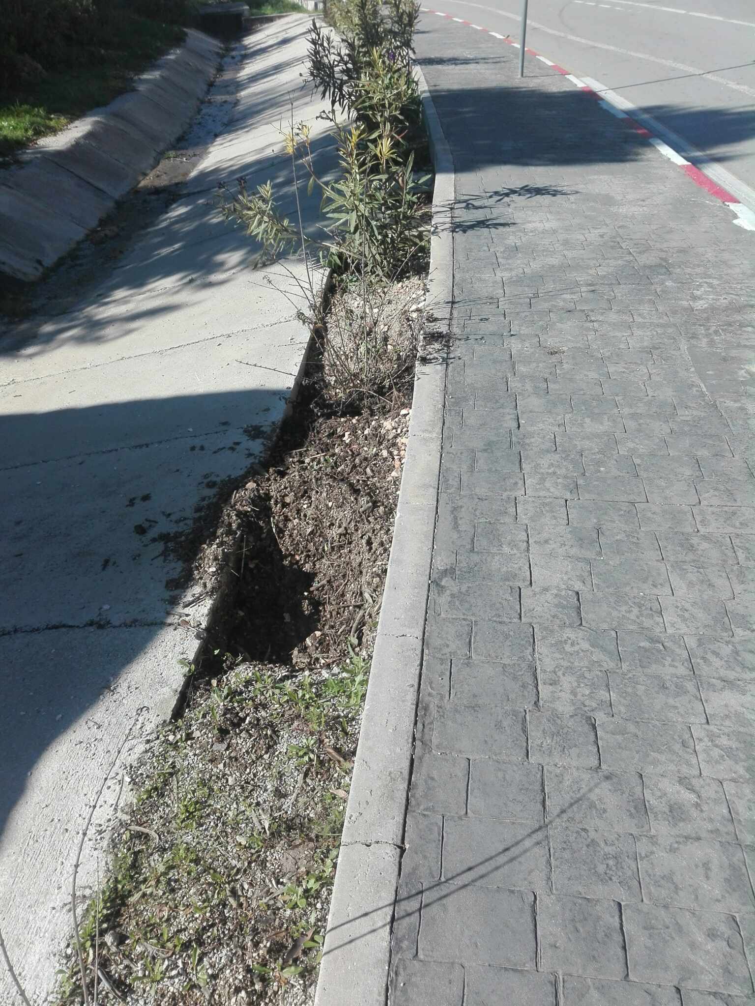 Algérie (Constantine) - Djenane Dardar et Djenane Ballout el Akhdar: Dégradation des espaces verts  