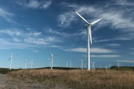 Planète (France/Europe) - Aigle tué par des éoliennes: une nouvelle loi blanchit l’entreprise