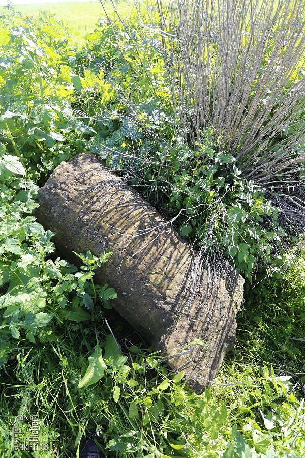 Découverte d’une stèle funéraire antique dans la région d'Aïn Youcef (Tlemcen)
