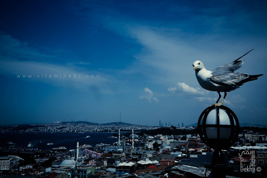 Heritage Istanbul 2026 : Istanbul au cœur des enjeux mondiaux du patrimoine culturel