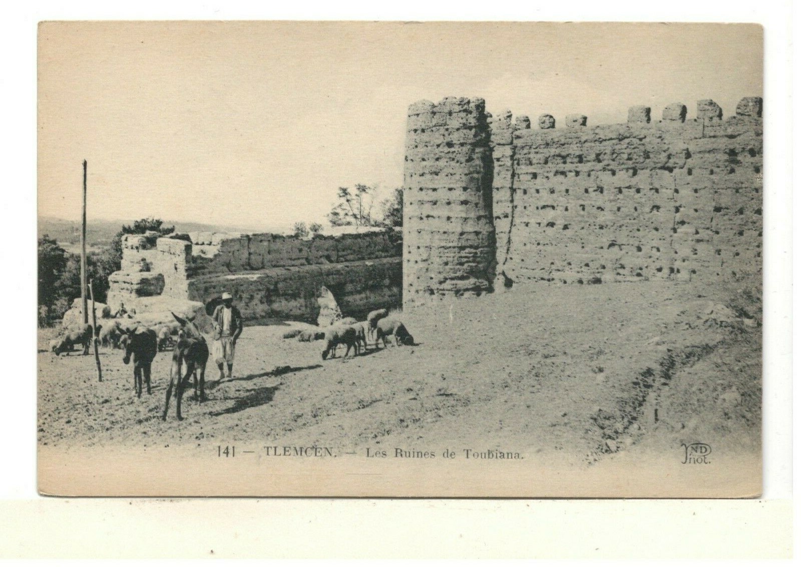 حصن الطوبيانة (Toubiana) – بوابة وهران القديمة في تلمسان