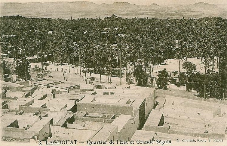 La disparition programmée de la palmeraie de Laghouat : mémoire d’un écosystème sacrifié