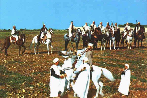 La OUAADA DE SIDI AMAR