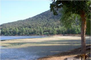 وضع مخطط تسيير للمنطقة الرطبة حوض الدايرة بولاية النعامة