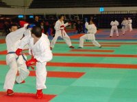 Championnat national (kata et kumité) : le GS Pétroliers domine la compétition