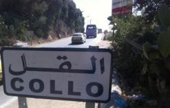 بريد القل بسكيكدة بدون موظفين وسط احتجاج المواطنين                                    بعد التحاق 18 منهم بالحملة الانتخابية