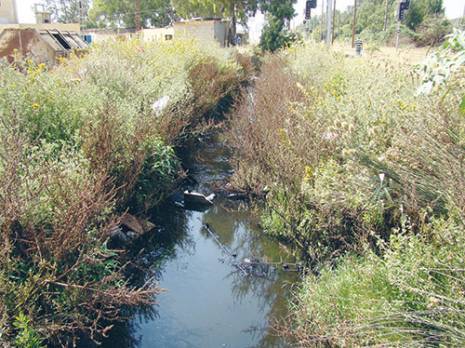 l'Algérie frôle la catastrophe écologique !                                    Gestion des déchets toxiques