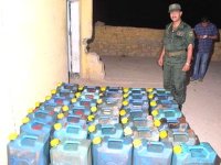 La contrebande de carburant et le vol de bétail en tête des délits à Souk Ahras