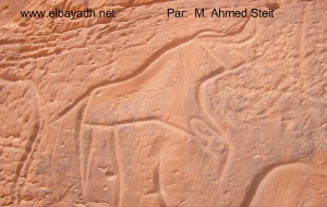 Les Gravures rupestres de la région d'El-Bayadh