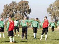 Une aubaine pour les locaux                                    Algérie ' Bosnie-Herzégovine ce soir (18h) au stade 5-Juillet