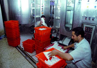 50% du lait consommé est importé