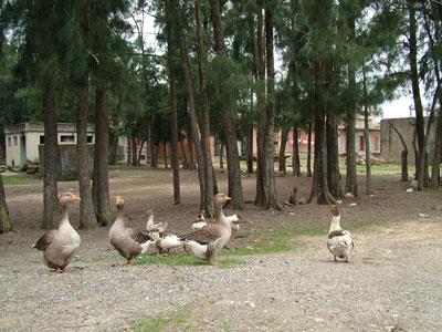 La DGF compte améliorer la gestion des parcs naturels                                    Patrimoine forestier national