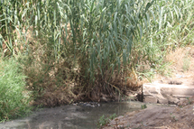 Mauvaise gestion du réseau d'assainissement à Souaflia