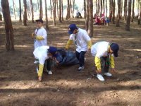 Journée internationale des volontaires : activités de préservation de l'environnement