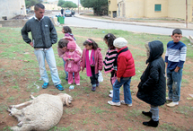 Un Aïd Morose à Mostaganem