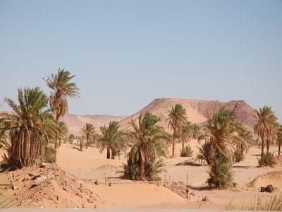 Timimoun l'enchanteresse au bord d'une mer de sable rouge                                    lovée au fond d'une forteresse en quête d'une protection