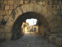 Pose de la plus grande fresque murale d'Algérie à Mila