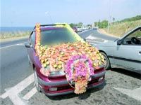 Les cortèges nuptiaux à Mostaganem                                    fête pour les uns, désagréments pour les autres !
