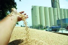 Du rififi à la CCLS DE Khenchela