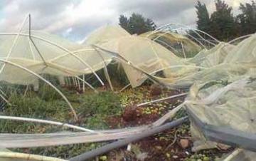 إتلاف أكثر من 200 بيت بلاستيكي بأولاد بوغالم                                    نتيجة الرياح التي عرفتها ولاية مستغانم