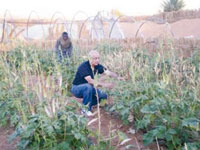 Elle est incontournable dans le développement de l'agriculture                                    Transformation : à quand une véritable industrie '