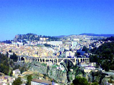 Un entrepôt de stockage en phase d'étude à Constantine                                    Le projet est piloté par plusieurs secteurs