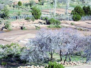 Plus d'un million d'hectares cadastrés                                    LAGHOUAT, Foncier rural et urbain