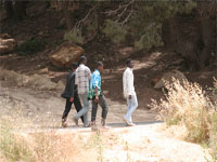 Traversée du désert avec les immigrants clandestins                                    La route de l'eldorado