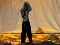 FIDC : une chorégraphie en hommage aux martyrs de la cause palestinienne