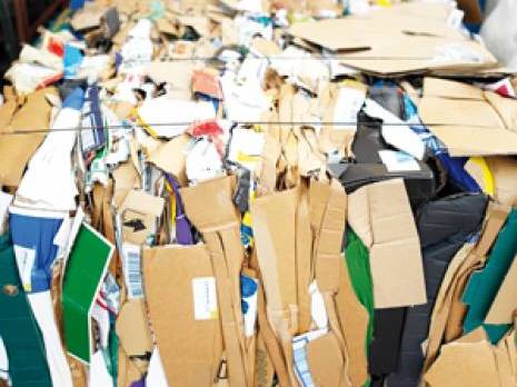 L'INSFP de Bougara (Blida) : La gestion des déchets en formation                                    Economie : les autres articles