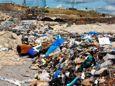 Déchets ménagers et assimilés à Blida : Un marché juteux !                                    Economie : les autres articles