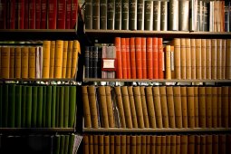 بحريز محمد :