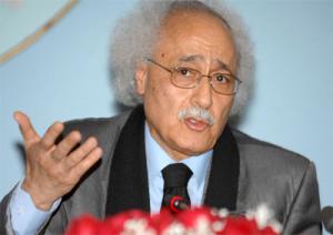 Concertation nationale autour du développement local