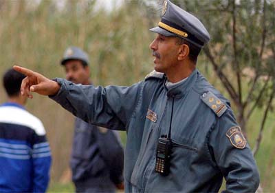 Le gouvernement réagit