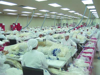 Un séminaire pour relancer l'investissement local