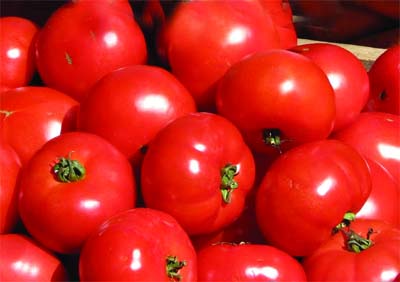 Une filière en phase de renaissance