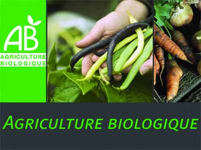 L'agriculture biologique prend ses marques