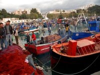 La dynamisation de la pêche nécessite des opérateurs mieux organisés (ministre)